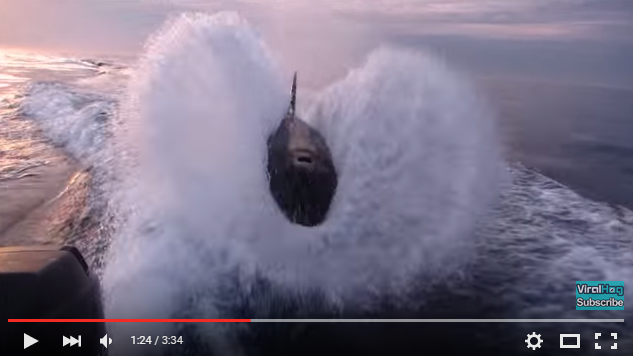 VIDEO. Un banc d'orques poursuit deux pêcheurs en bateau 