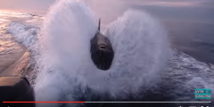 VIDEO. Un banc d'orques poursuit deux pêcheurs en bateau 