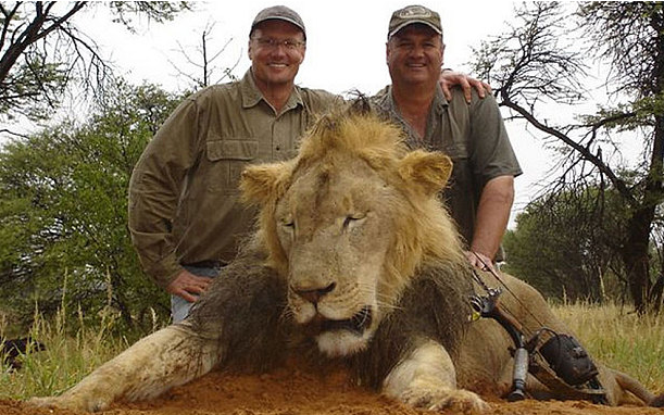 Zimbabwe : l'organisateur de la chasse de Cecil le lion jugé ce lundi