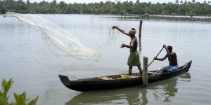 Au Kerala (Inde), les villageois se mobilisent pour l’environnement