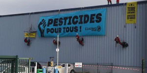Lutte contre les pesticides : Greenpeace bloque la centrale de Leclerc à Toulouse
