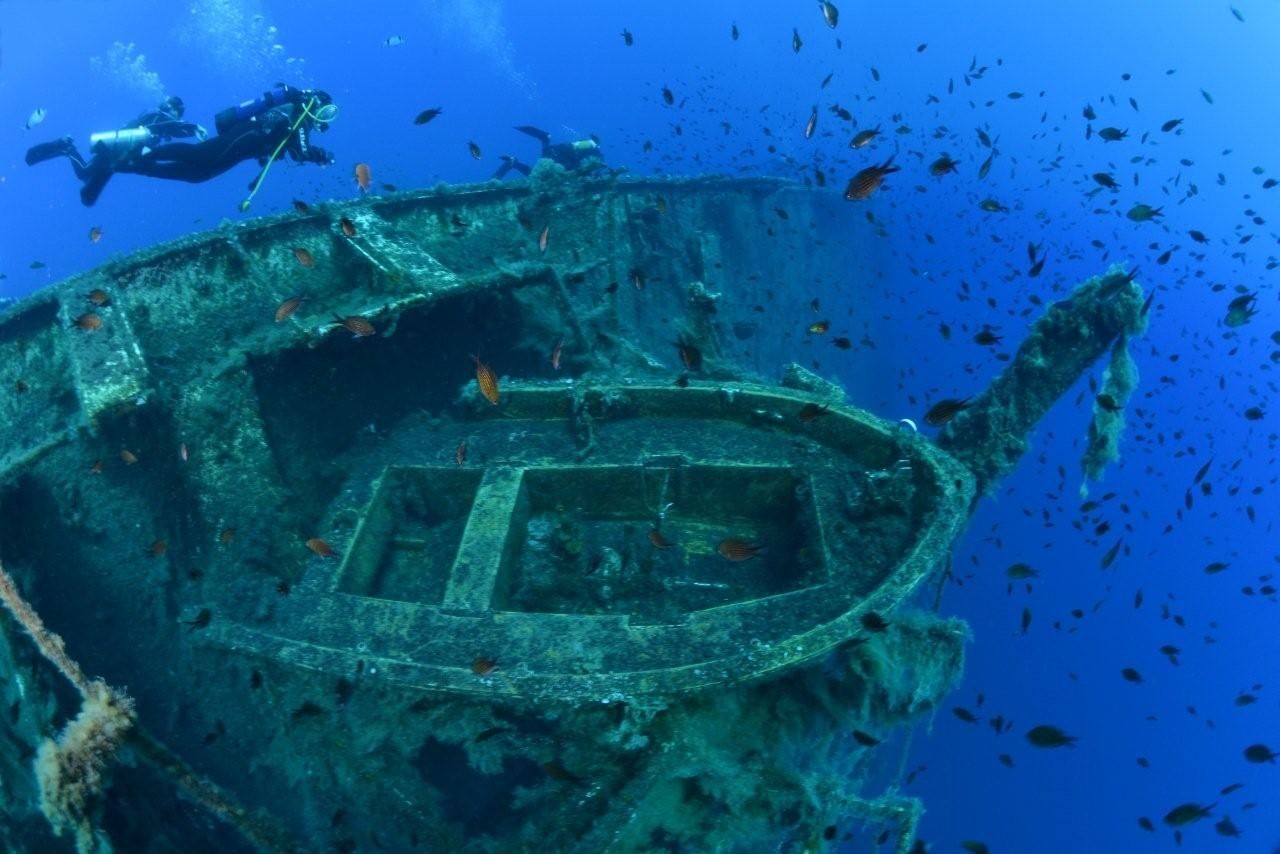 Le Zenobia : un havre de biodiversité sous-marine à Chypre