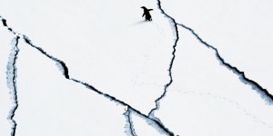 Fonte des glaciers en Antarctique : le niveau des mers monterait de 3 mètres