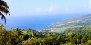 «Martinique Ile Durable» veut accélérer la transition écologique