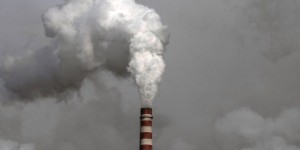 Pinocchio du Climat : Chevron, EDF et BNP-Paribas épinglés