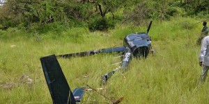 VIDEO. Tanzanie : un pilote britannique abattu par des braconniers d'éléphants