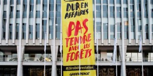 Déforestation : Greenpeace déploie une banderole devant le siège de Bolloré