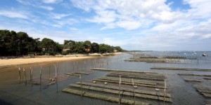 Bassin d'Arcachon : alerte aux moules toxiques du Banc d'Arguin