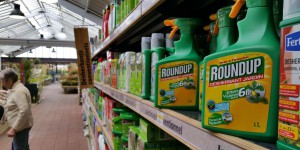 Glyphosate : le futur de l'herbicide est toujours en suspens en Europe