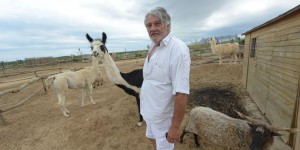 Hérault : ils veulent faire oublier le « zoo de la honte »