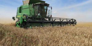 Agriculture : la production de blé en baisse de 30%, au pire niveau depuis 30 ans