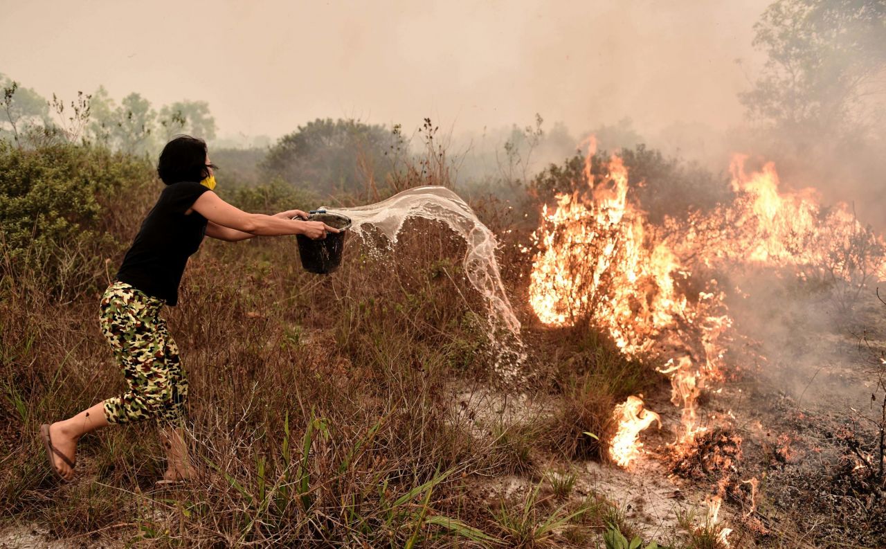 Incendies en Asie du Sud-Est : la fumée cause 100 000 décès prématurés en 2015