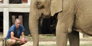 Limousin : une maison de retraite pour les éléphants