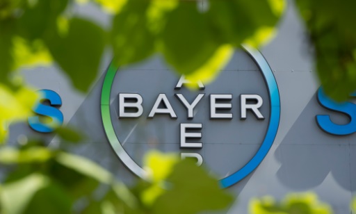 OGM : le chimiste Bayer rachète Monsanto pour la somme historique de 66 milliards de dollars