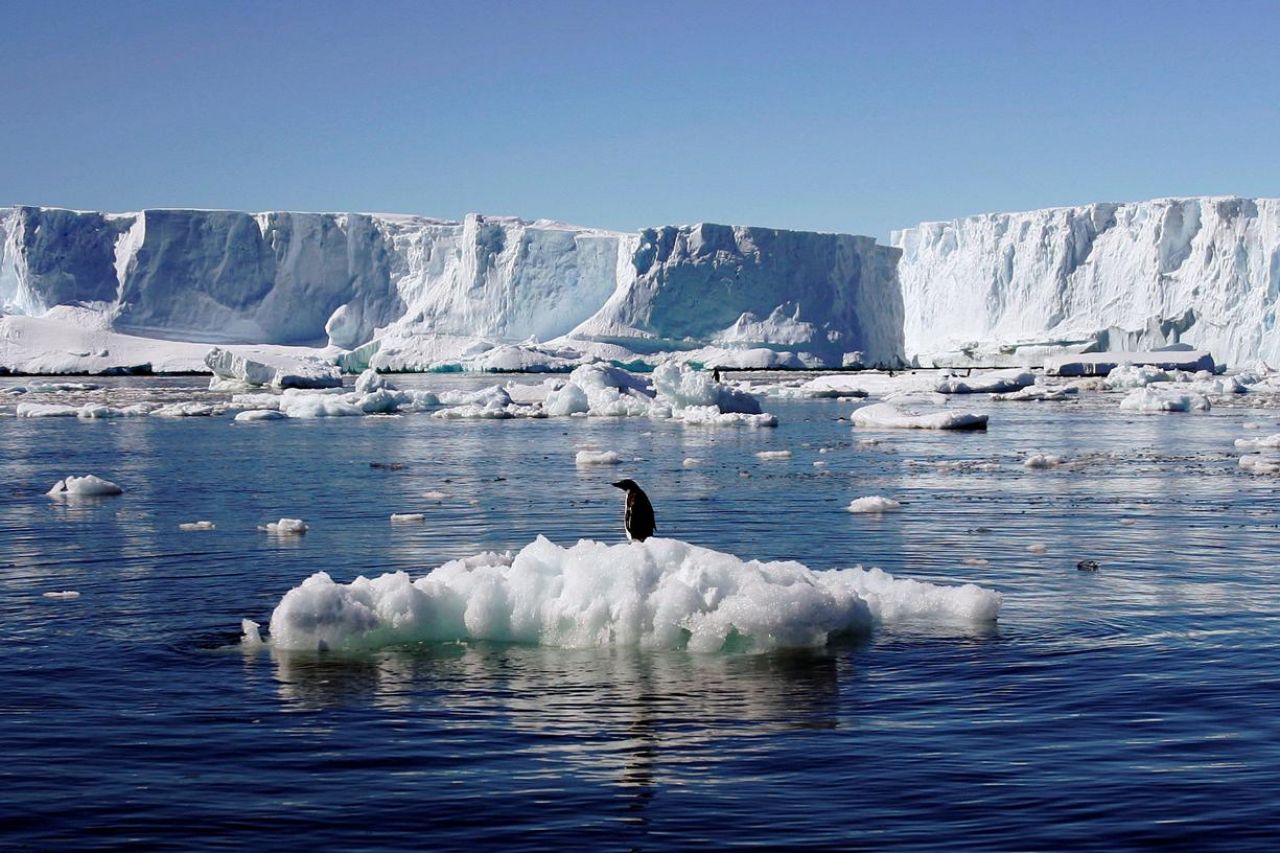 Le plus grand sanctuaire marin au monde sera créé en Antarctique