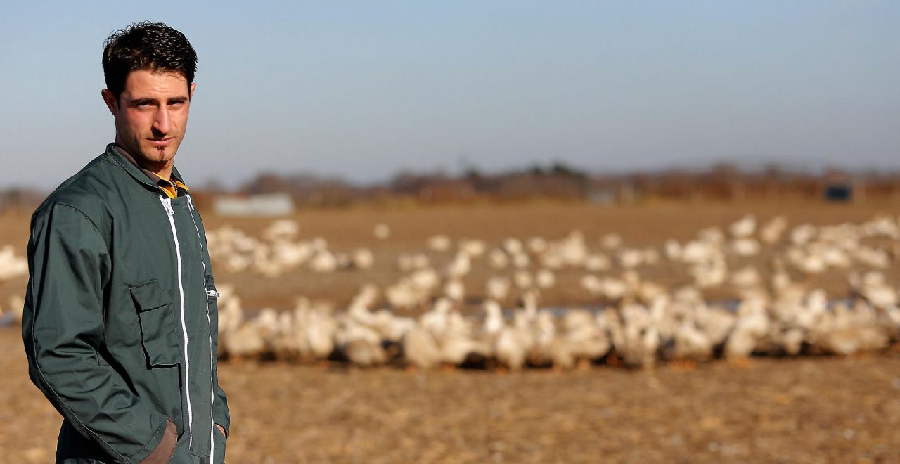 Abattage préventif de canards à cause de la grippe aviaire : « C'est rageant, ils sont magnifiques ! »
