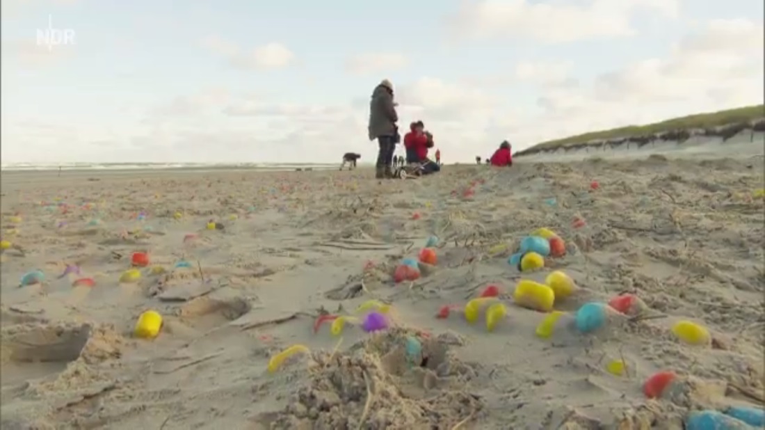 VIDEO. Allemagne : des milliers de jouets en plastique échoués sur une plage