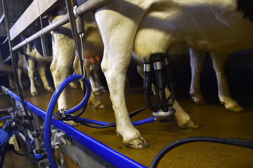 Crise du lait : les producteurs demandent une revalorisation des prix