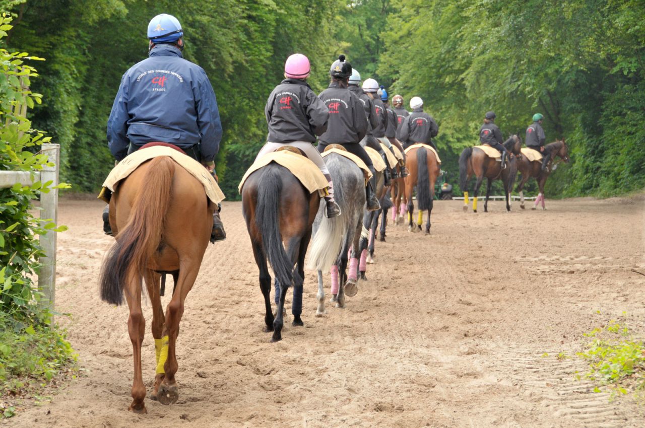 Paris : les professionnels du cheval protestent contre l'arrivée des paris en direct
