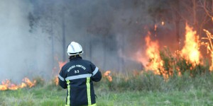 Feux de forêt en Gironde : 1000 hectares de pins détruits 