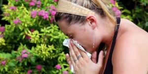 Allergies aux pollens : alerte rouge sur la quasi-totalité de la France