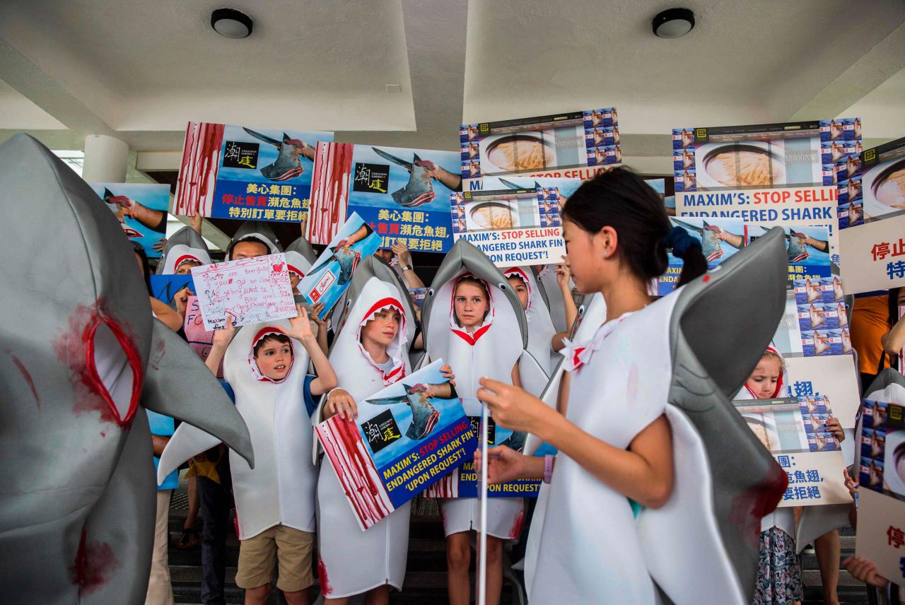 EN IMAGES. Hong Kong : ils se déguisent en requins pour dénoncer la soupe d'ailerons