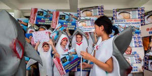 EN IMAGES. Hong Kong : ils se déguisent en requins pour dénoncer la soupe d'ailerons