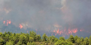 Incendies : plus de 1000 hectares détruits dans le sud de l'Espagne