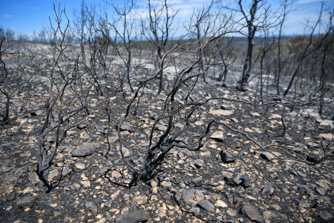 Incendies : à Bormes-les-Mimosas et à Artigues, des paysages dévastés