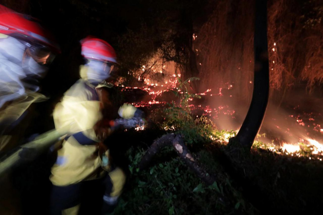 Le nombre de feux de forêt a-t-il augmenté ces dernières années ?