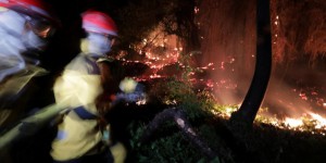 Le nombre de feux de forêt a-t-il augmenté ces dernières années ?