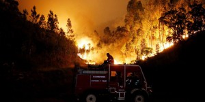 Portugal : les feux de forêt reprennent