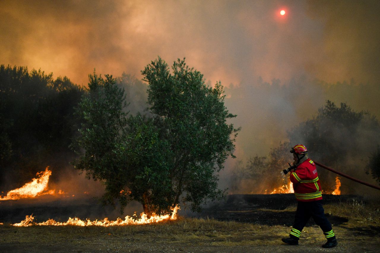 Incendies au Portugal : 141 000 hectares partis en fumée depuis le début de l'année