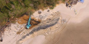 Australie : la baleine échouée finalement débitée en morceaux