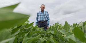 Glyphosate : Juan Carlos, agriculteur argentin et «pionnier du soja OGM»