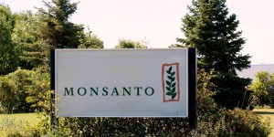 Glyphosate : ils attaquent Monsanto, qu'ils accusent d'avoir empoisonné leur fils