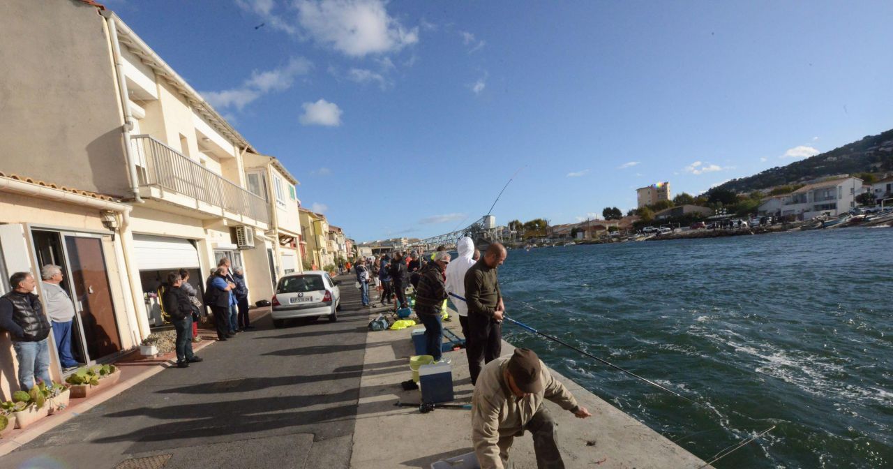 Migration de daurades à Sète : le tintamarre des pêcheurs rend fou tout un quartier