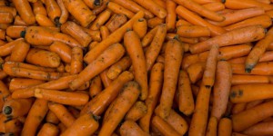 Testées, des carottes bios plus chargées en pesticides que des non-bios