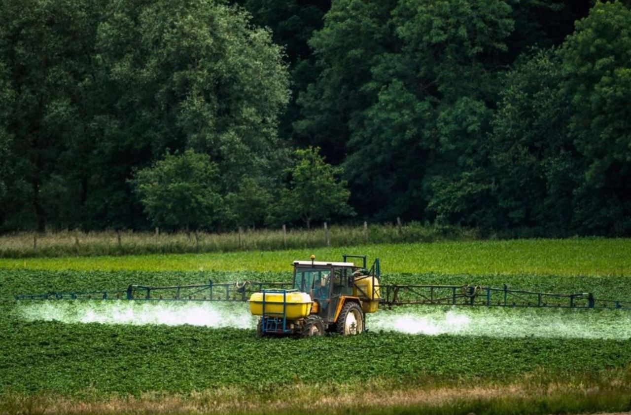 Glyphosate : des agriculteurs contestent son interdiction en France dans trois ans