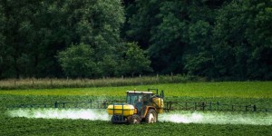 Glyphosate : des agriculteurs contestent son interdiction en France dans trois ans