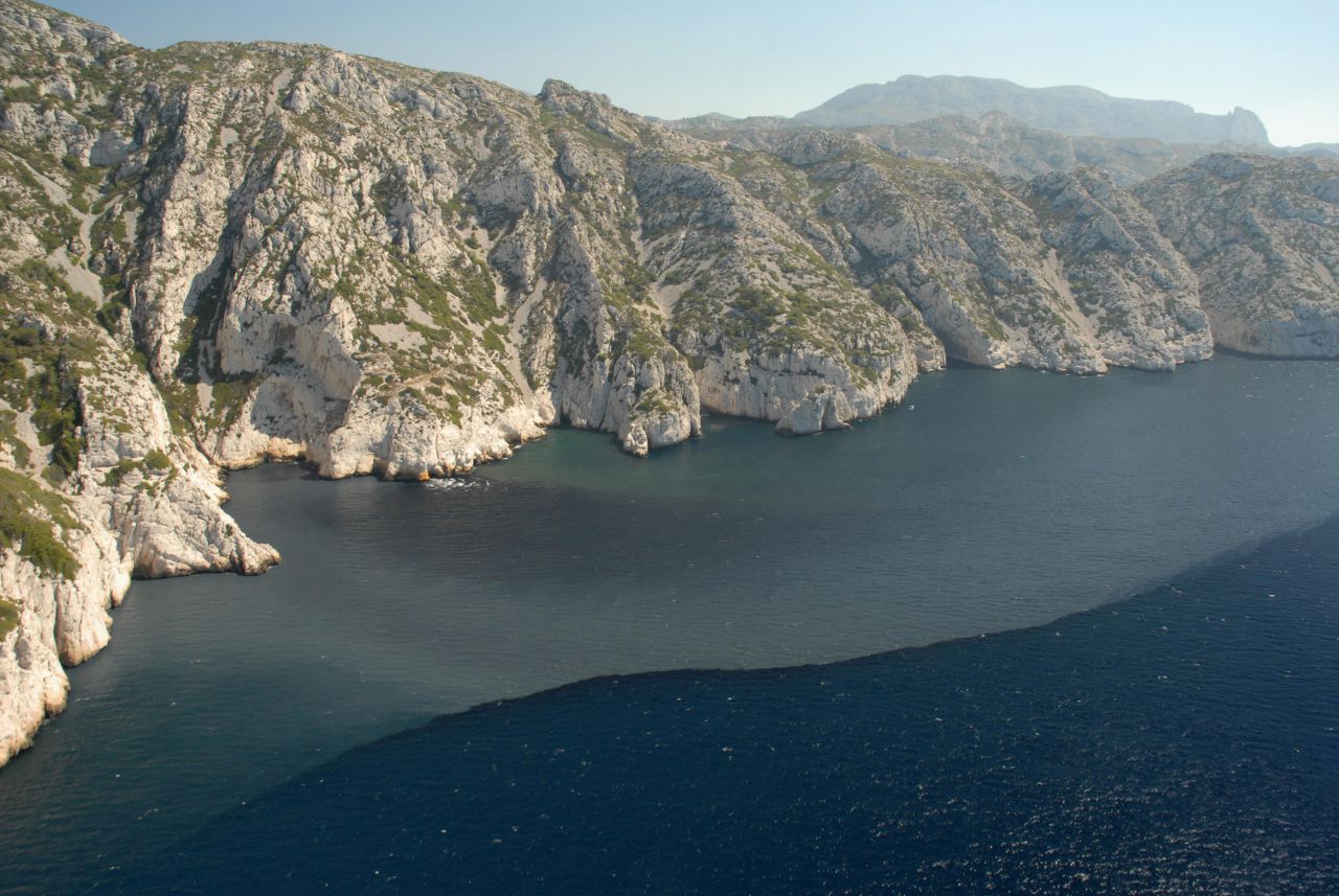 A Marseille, des récifs artificiels feront revivre les calanques