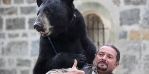 Gif-sur-Yvette annule le spectacle de l’ours Valentin