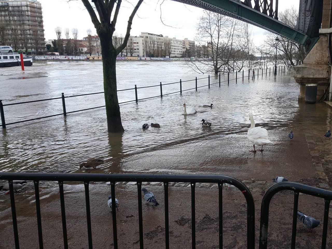 EN IMAGES. Hauts-de-Seine  : le fleuve continue de monter