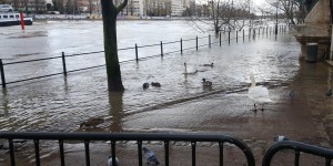 EN IMAGES. Hauts-de-Seine  : le fleuve continue de monter