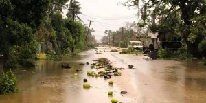 EN IMAGES. Cyclone Gita : des dégâts aux Tonga, mais aucun décès