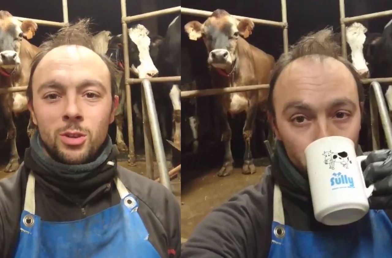 Un agriculteur promet un don de 3000 litres de lait si sa vidéo fait le buzz