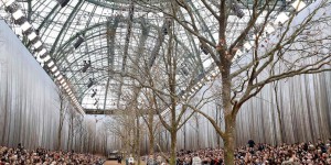 Pour un décor de défilé, Chanel abat des dizaines d’arbres