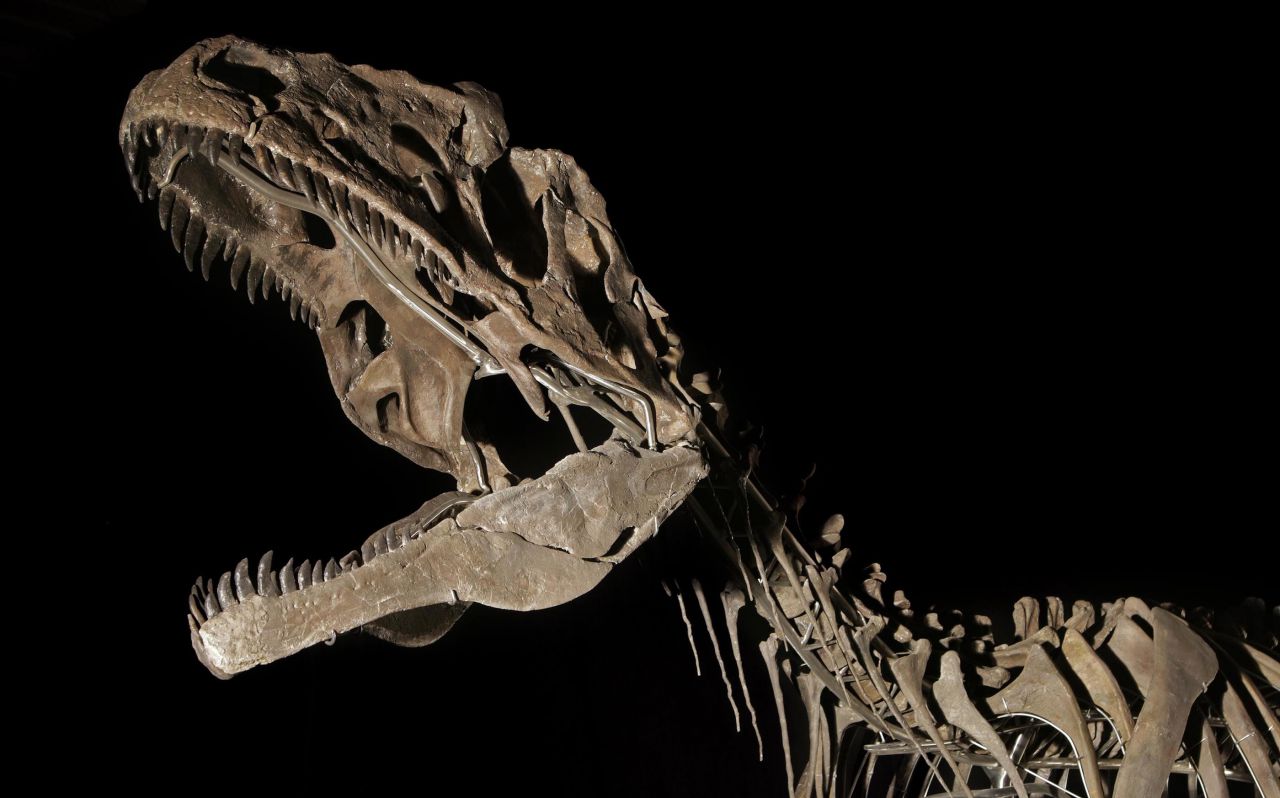 Un dinosaure d'une espèce inconnue exposé à Lyon