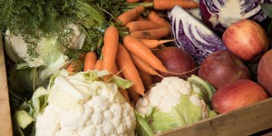 Labels écolos sur les fruits et légumes  : le cri d’alarme des associations