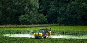 Glyphosate : faucheurs d’OGM cherchent donneurs d’urine